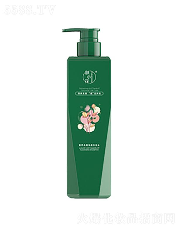 VŻyƷ޹˾wСBм͸ϴlˮ 500ml