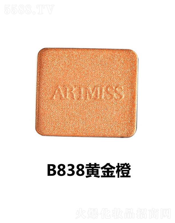 ΨӰPMB838S