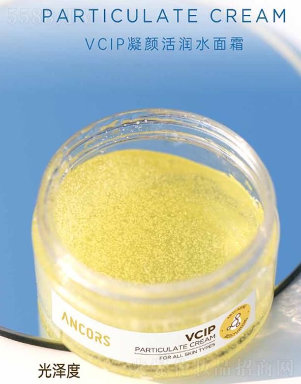 ANCORS-VCIP��ˮ��˪