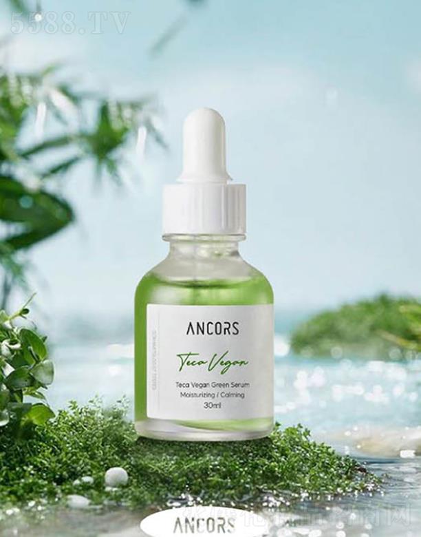 ANCORS-TECA�����澏���A